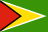 Guyana flag