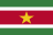 Suriname flag